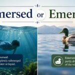 Immersed or Emersed